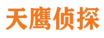 大丰侦探公司